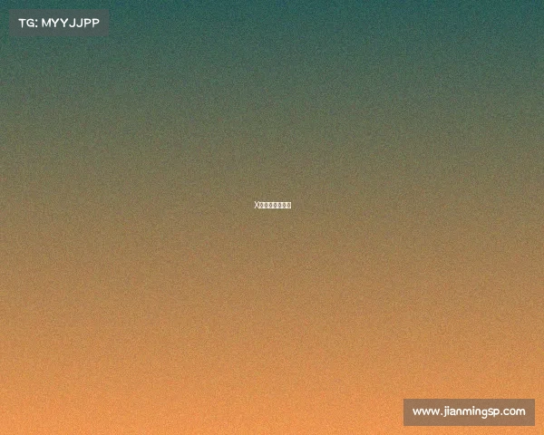 X战队的荣耀征程